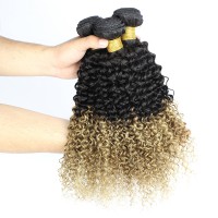 Gold Virgin Grade Ombre Peruvian Curly Hair Kinky Curly 3 Bundles Peruvian Virgin Hair Ombre #1B 10 Human Hair Extensions