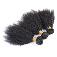 Silver Virgin Grade Human Hair Weaving Brazilian Virgin Hair Kinky Curly Hair Bundles