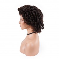 Brazilian Funmi Hair Lace Front Wigs Glueless Virgin Human Hair Lace Wigs For Black Women
